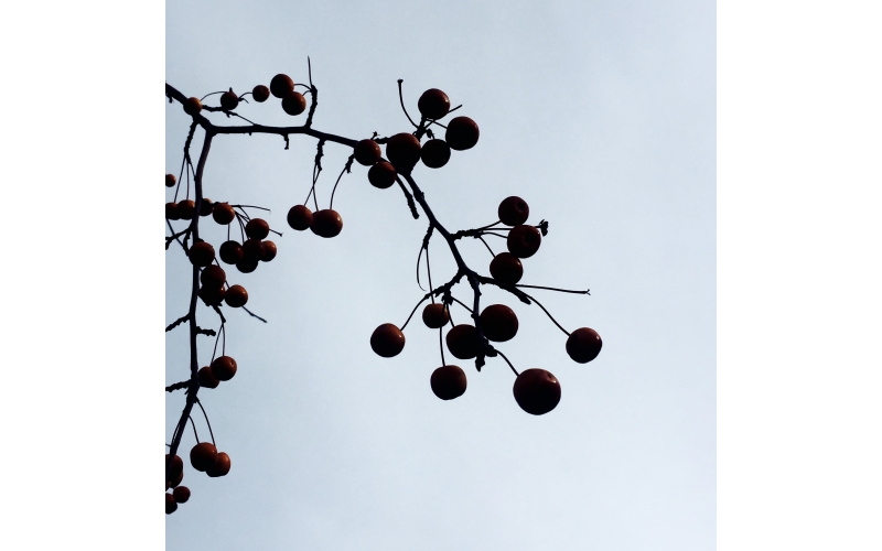 成熟設計是多年內功修煉的展現